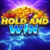 Hold and Win Games online game logo by Playson on wildrobincasinos.es